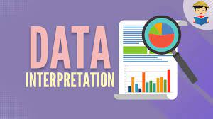 Analytics & Data Interpretation